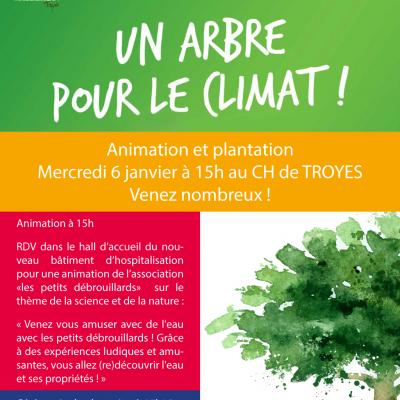 Plantation d'un 