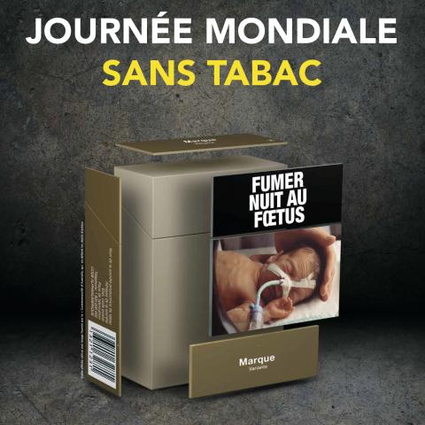 Journée mondiale sans tabac mardi 31 mai 2016 au CH de Troyes