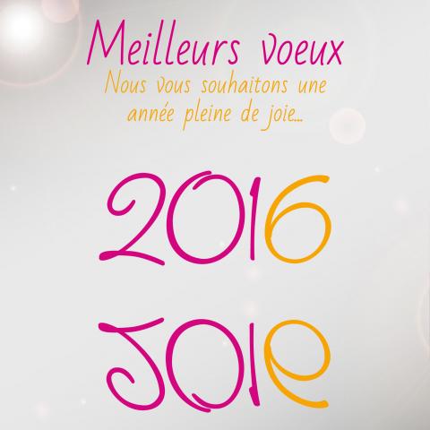 Le Centre Hospitalier de Troyes vous souhaite une excellente année 2016